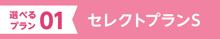 01 セレクトプランS
