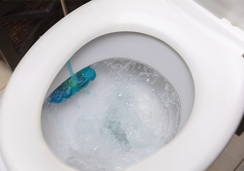 トイレを清掃するようす